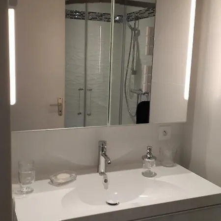 25 Rue Raymond Braillard Apartment