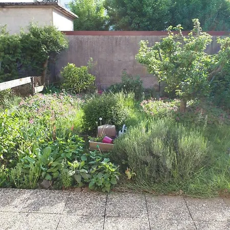 25 Rue Raymond Braillard